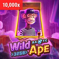 Trưởng phòng công nghệ Zbetme nhà cái